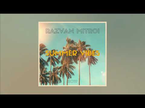 Razvan Mitroi - Summer Vibes (Official Music Video)