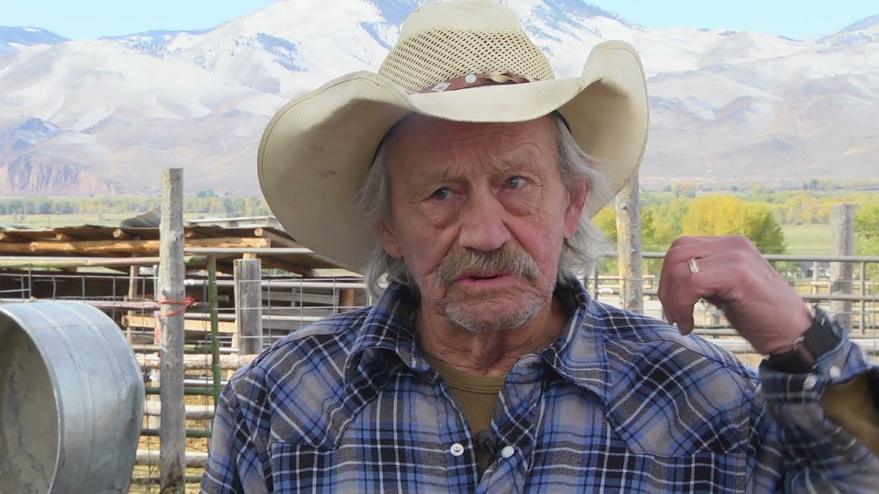 Ranchers and biologists team up for healthy bighorn sheep