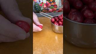 Download lagu Two Ways to Check Fresh Cranberries Freshness! mp3 Download lagu Two Ways to Check Fresh Cranberries Freshness! mp3