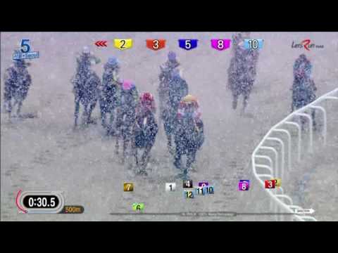 Liger Socks/Djordje Perovic - Seoul Nov 26, 2016