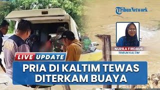 Tragedi di Sungai Bengalon, Warga Kutai Timur Hilang Diseret Buaya saat Pasang Jaring Ikan