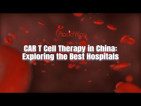 China's Leading Hospitals for CAR T Cell Therapy: A Comprehensive Review