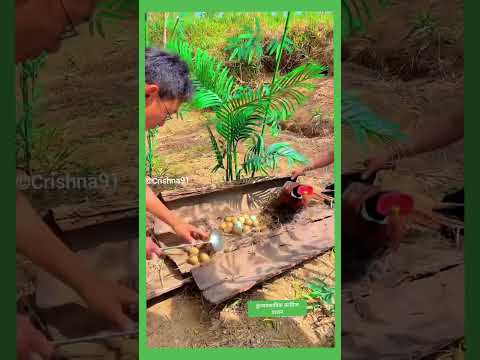 व्यवसायिक कालिज पालन गर्दै हुनुहुन्छ यो भिडियो अवश्य हेर्नुहोला। 👍️ #nepal #youtubeshorts #ytshorts