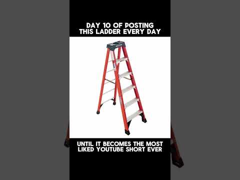Day 10 of Posting this Ladder Everyday Until it Becomes the Most Liked Short Ever #laddergang