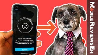 Can a DOG use FACE ID on the iPhone X?