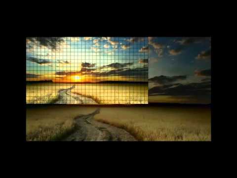 Canon 70D Shooting Video Training