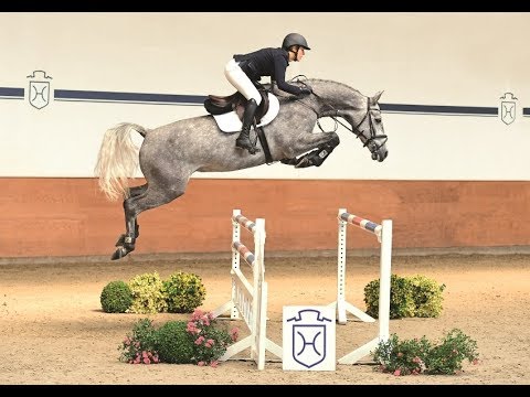 131 | Nerrado Junior v. Nerrado - Con Air