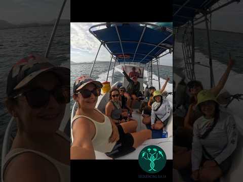 The Expedition Experience