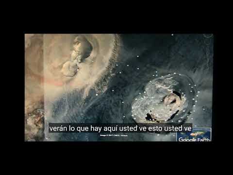 entrando mudfossil universidad orientando la evidencia