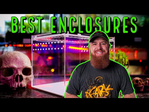 The BEST Tarantula Enclosures - What Should YOU Use?