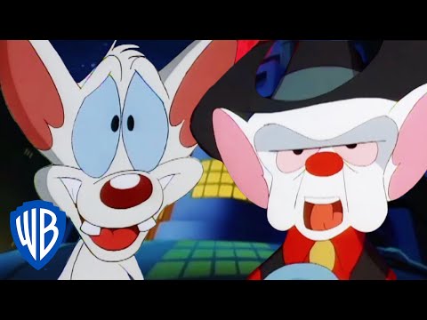 Animaniacs | Pinky and the Brain Become Country Singers 🤠 | Classic Cartoon | WB Kids