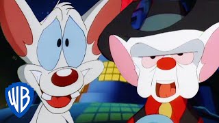 Animaniacs | Pinky and the Brain Become Country Singers 🤠 | Classic Cartoon | WB Kids
