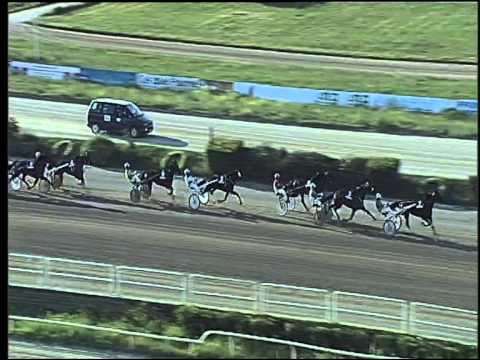 Trotto 04/06/2015 - 8° corsa