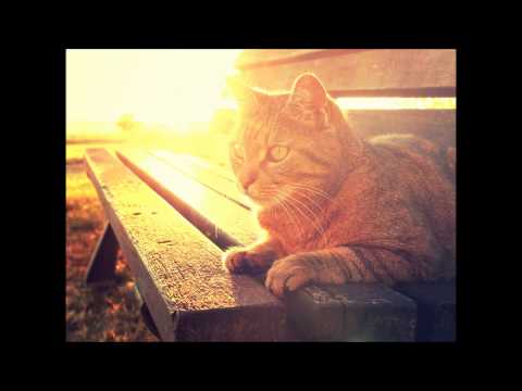 Dale Saunders Feat. T-Pain - Catch Your Love (E-Partment Mix)