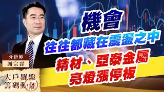 機會 往往都藏在震盪之中精材、亞泰金屬亮燈漲停板 (圖)