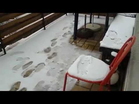 Nackter Arsch auf Bank Jackarsch Jackass Der Schnee ist da !