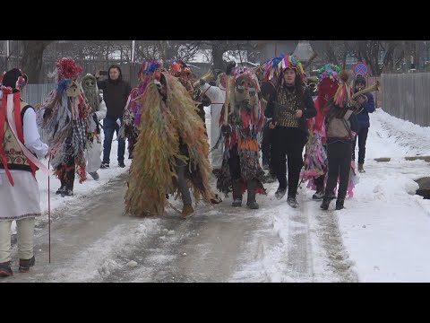 Capra de la Valea Hogei 2019 - 2020 - Fanfara lui Gaby
