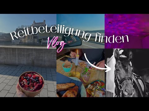 Ich finde meine TRAUM REITBETEILIGUNG 😍🥰