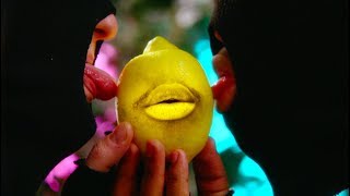 POLYCOOL ~ Polywood (CLIP OFFICIEL)