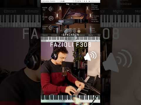 Which Synchron Piano is the right one for you?