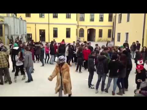 Harlem shake Selvatico Padova!!