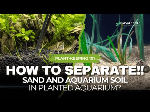 How to: Separate Sand and Aquarium Soil in Planted Aquarium
