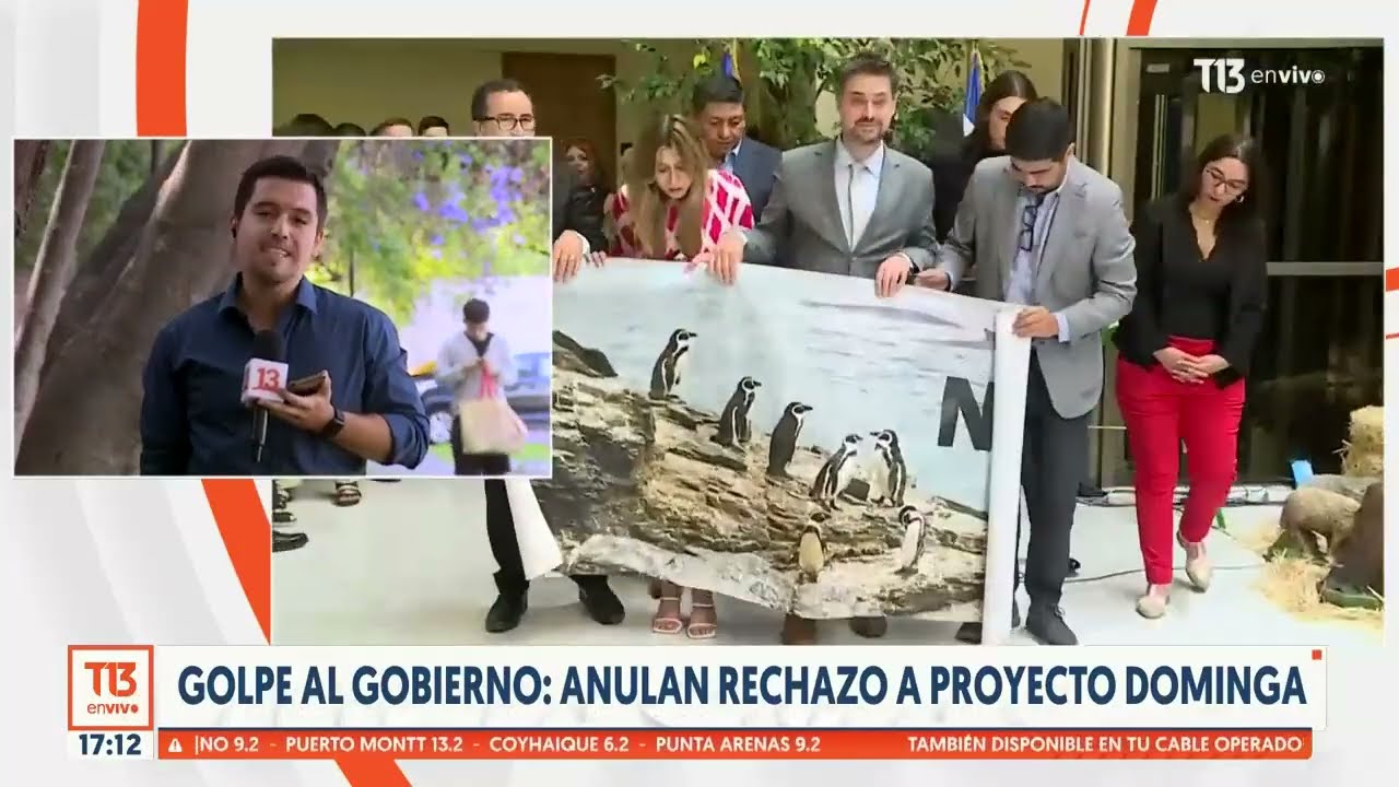 Andes Iron pide luz verde a proyecto Dominga