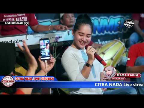TURU NING PAWON || TARLING TENGDUNG || CITRA NADA LIVE DIRUMAH Part 03