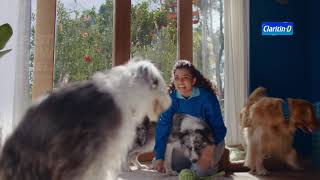 Claritin 🌿 Claritin‑D – Super Bowl 2026: You Are So Much More Than Your Allergies