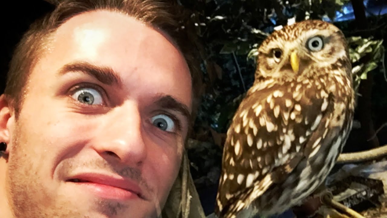 UN VLOG CHOUETTE ! thumbnail