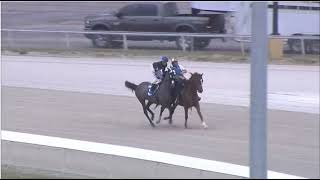 R1 DELTA DOWNS USA  11 FEB 2026