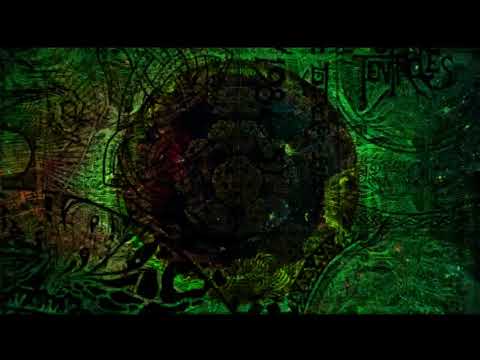 Ozric Tentacles Through the years live - 1984