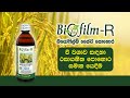 Biofilm R වී වගාවේදී රසායනික පොහොර සමඟ යෙදී�