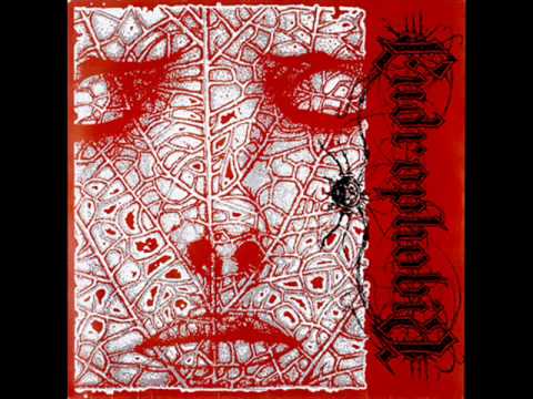 Endrophobia - we don't need you