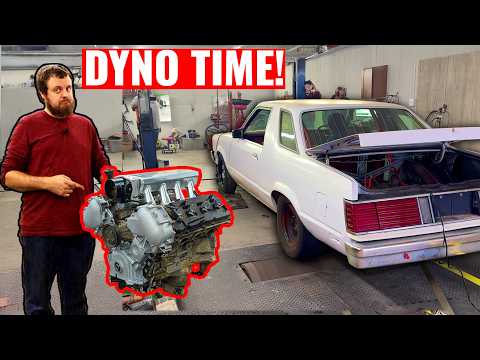 BIG HP on Stock Internals VK56 - The Coyote You Can Actually Afford!