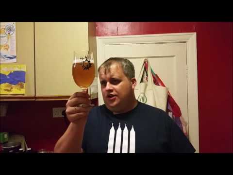 Homebrew Review - EVS Brewing Bristol - White Wine Saison