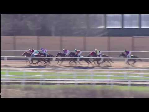 16 april 2014, lopp 1 -  Eldöga