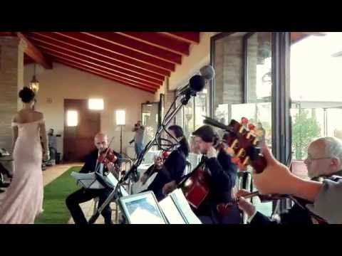 Canone in Re maggiore, Pachelbel - Anthology Ensemble e Francesco Ottani - Parco di Montebello