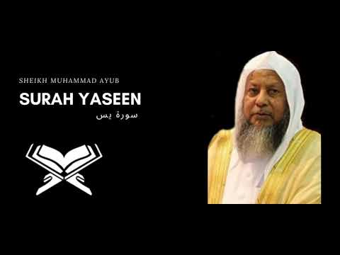 36. Surah Ya-Sin  سورة يس by Sheikh Muhammad Ayub محمد أيوب Beautiful Quran Recitation| Surah yaseen