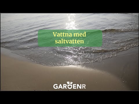 Vattna med saltvatten - Trädgårdshacks med GardenR