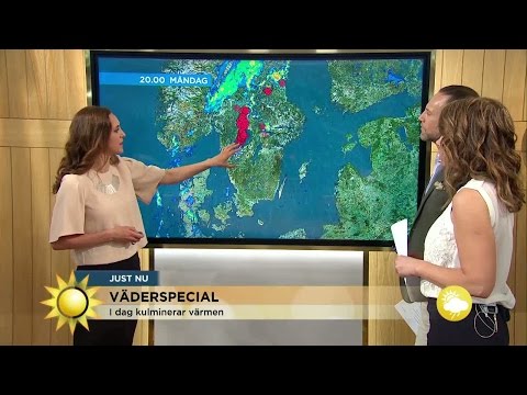 Så länge stannar sommaren - Nyhetsmorgon (TV4)