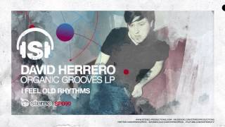 David Herrero - I Feel Old Rhythms