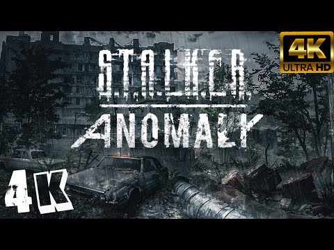 S.T.A.L.K.E.R. Anomaly  4К