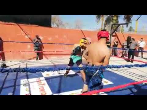 GUANTEO DE BOXEO | BUONARRIGO VS. OZAN | EVENTO EN CONTEXTO DE ENCIERRO