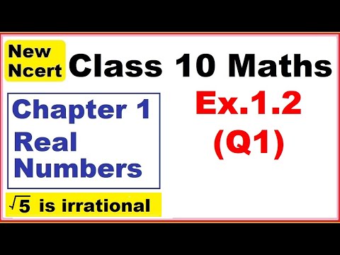 Class 10 Maths | Ex.1.2 Q1 | Chapter 1 | Real Numbers | New NCERT