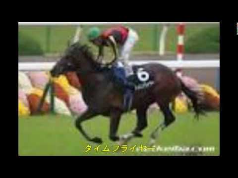 2017/12/28 中山 11R ホープフルＳ（ＧⅠ）