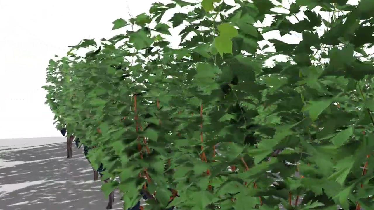 Gro&szlig;er Weinberg 3D Modell