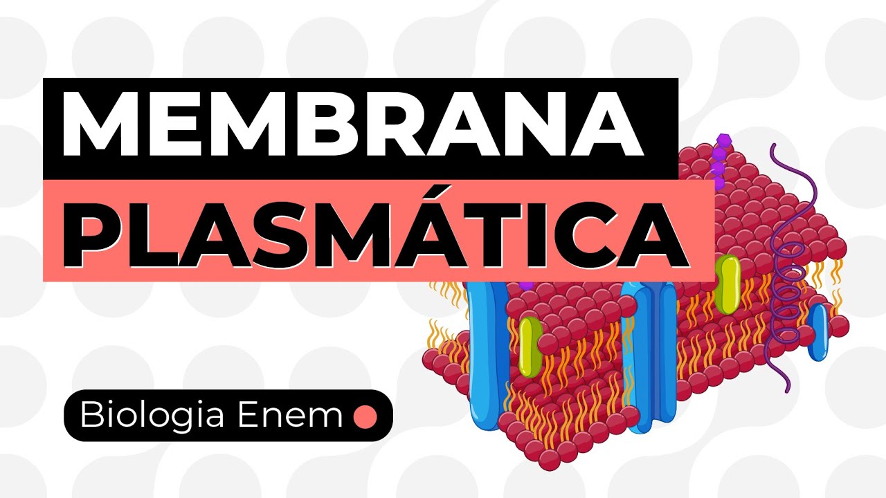MEMBRANA PLASMÁTICA (CITOLOGIA) | Resumo de Biologia para o Enem. Professora Juliana Evelyn Santos