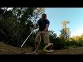 Coastal Taipan Strike
