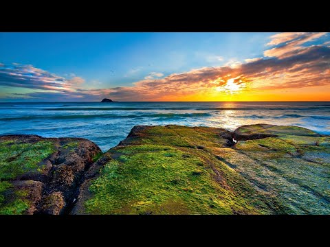 Auckland, New Zealand in 60 Seconds | Google Earth 360 Photos